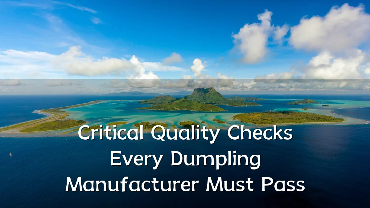 Critical Quality Checks Every Dumpling Manufacturer Must Pass