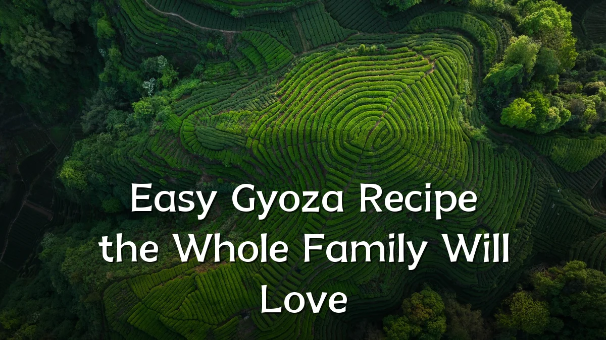 Easy Gyoza Recipe the Whole Family Will Love