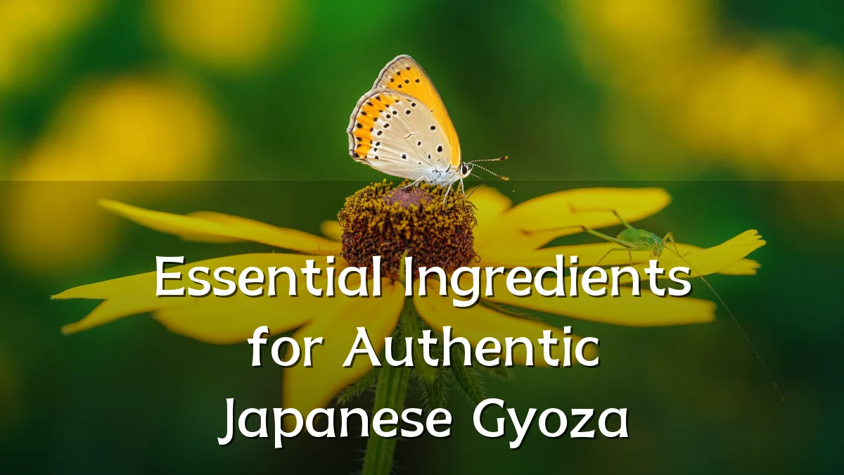 Essential Ingredients for Authentic Japanese Gyoza