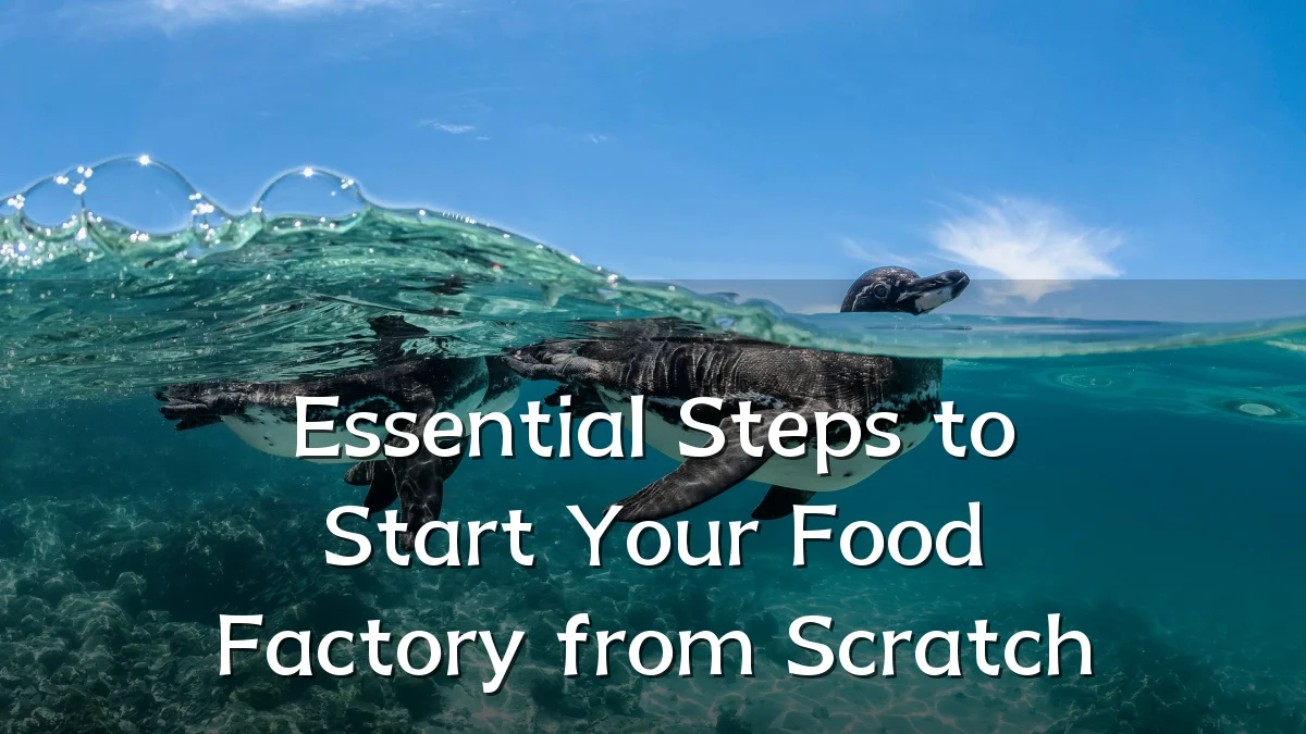 Essential Steps to Start Your Food Factory from Scratch