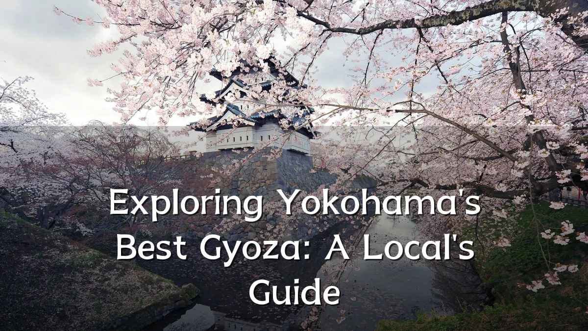 Exploring Yokohama's Best Gyoza: A Local's Guide
