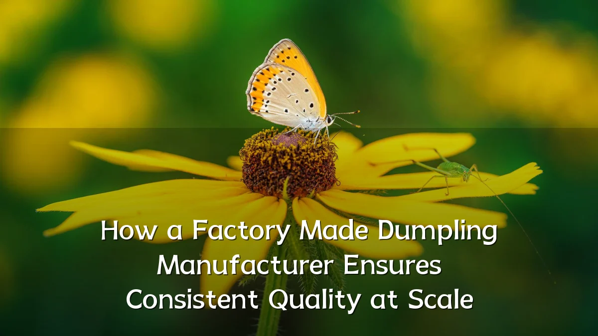 How a Factory Made Dumpling Manufacturer Ensures Consistent Quality at Scale
