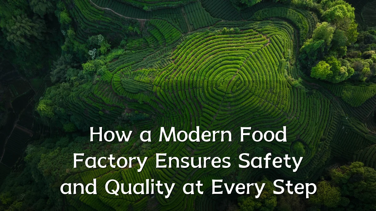 How a Modern Food Factory Ensures Safety and Quality at Every Step