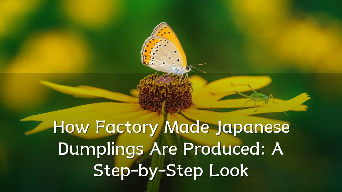 How Factory Made Japanese Dumplings Are Produced: A Step-by-Step Look