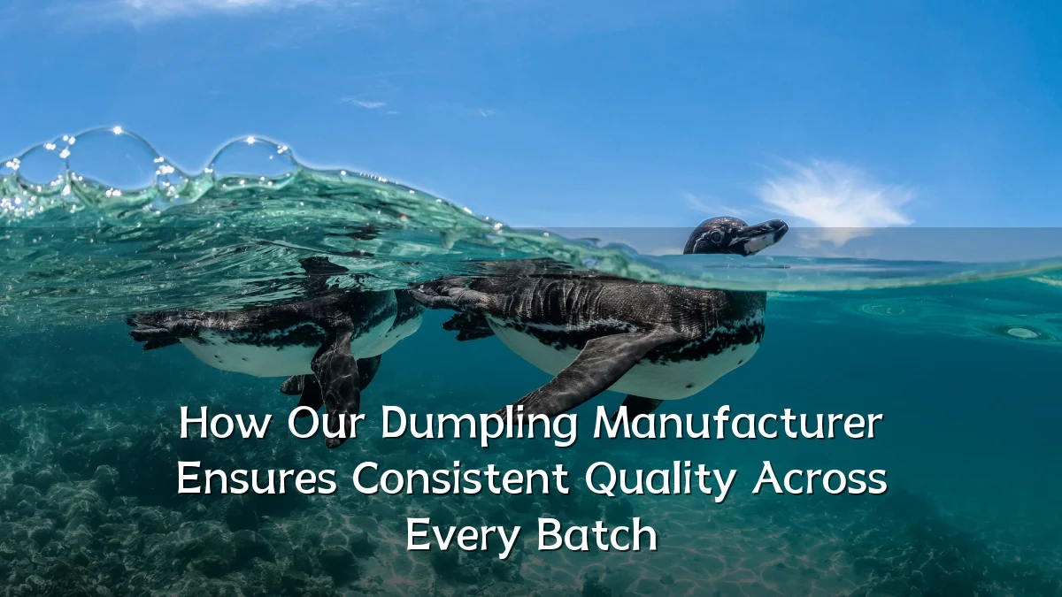 How Our Dumpling Manufacturer Ensures Consistent Quality Across Every Batch