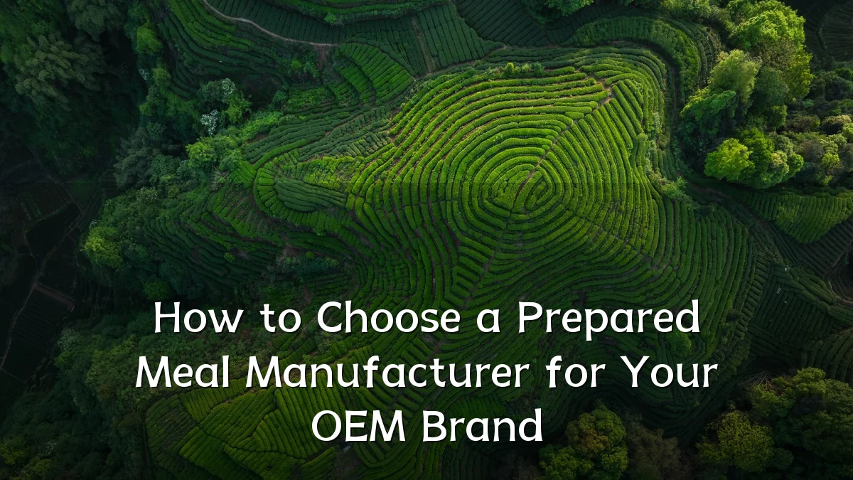 How to Choose a Prepared Meal Manufacturer for Your OEM Brand