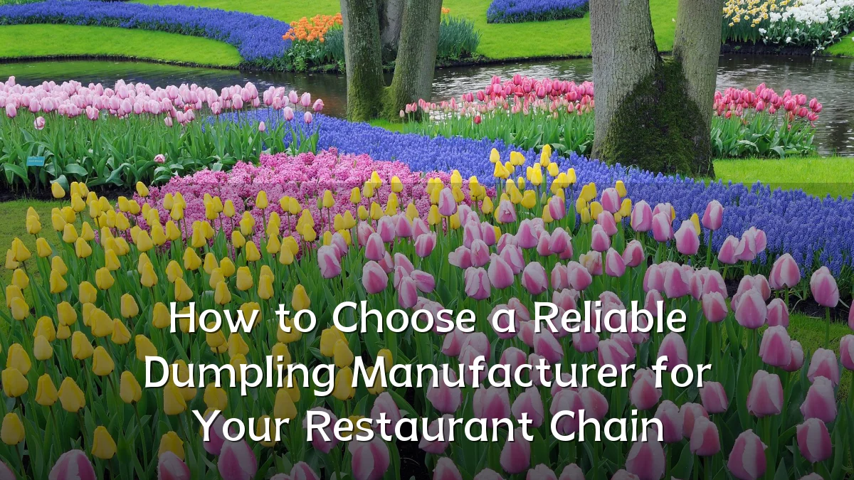 How to Choose a Reliable Dumpling Manufacturer for Your Restaurant Chain