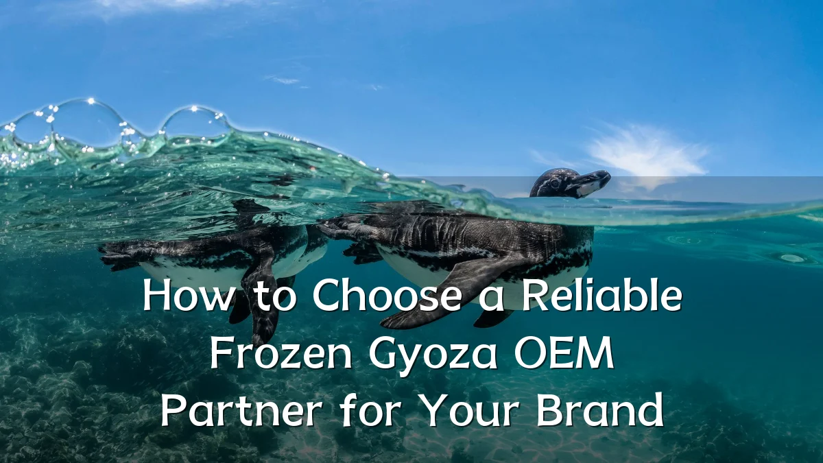How to Choose a Reliable Frozen Gyoza OEM Partner for Your Brand