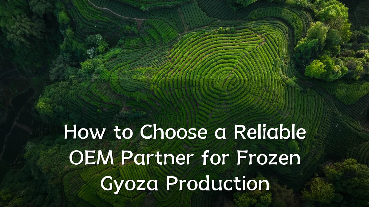 How to Choose a Reliable OEM Partner for Frozen Gyoza Production