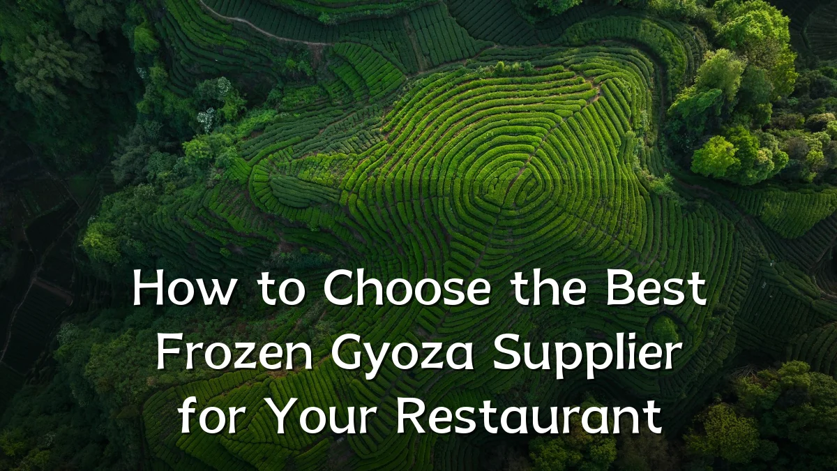 How to Choose the Best Frozen Gyoza Supplier for Your Restaurant