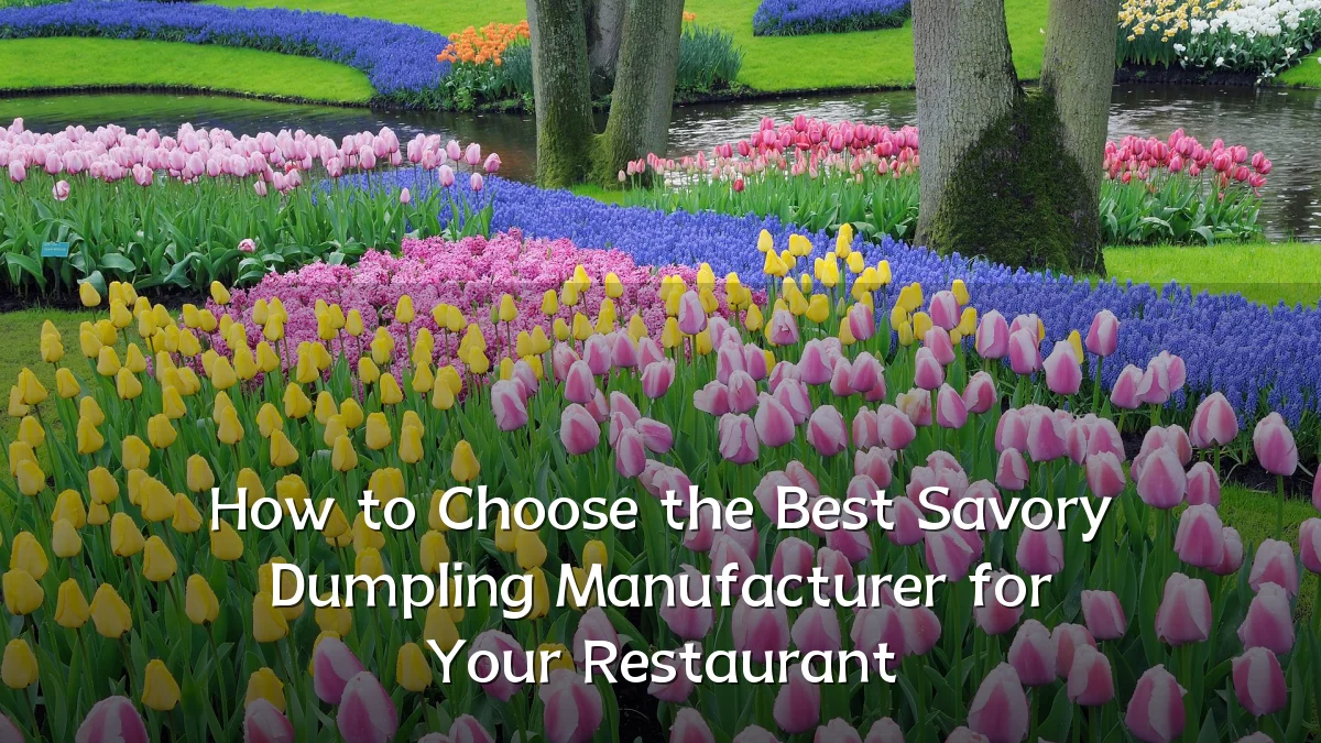 How to Choose the Best Savory Dumpling Manufacturer for Your Restaurant