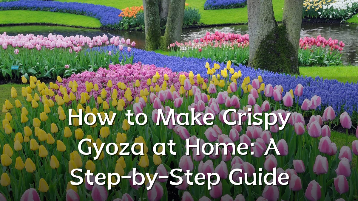 How to Make Crispy Gyoza at Home: A Step-by-Step Guide