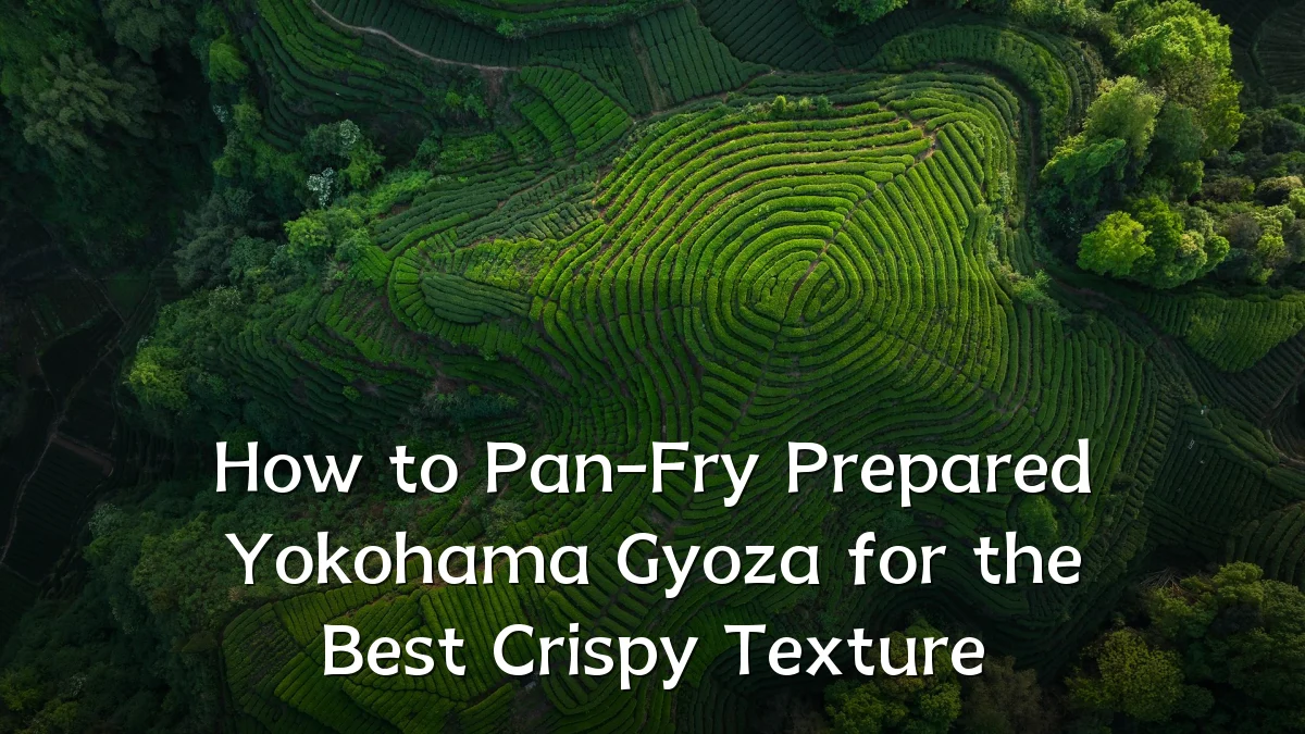 How to Pan-Fry Prepared Yokohama Gyoza for the Best Crispy Texture