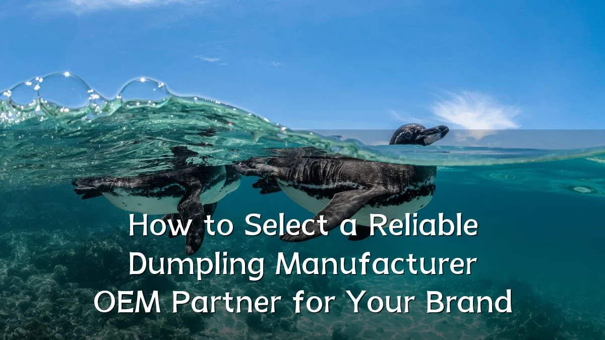 How to Select a Reliable Dumpling Manufacturer OEM Partner for Your Brand