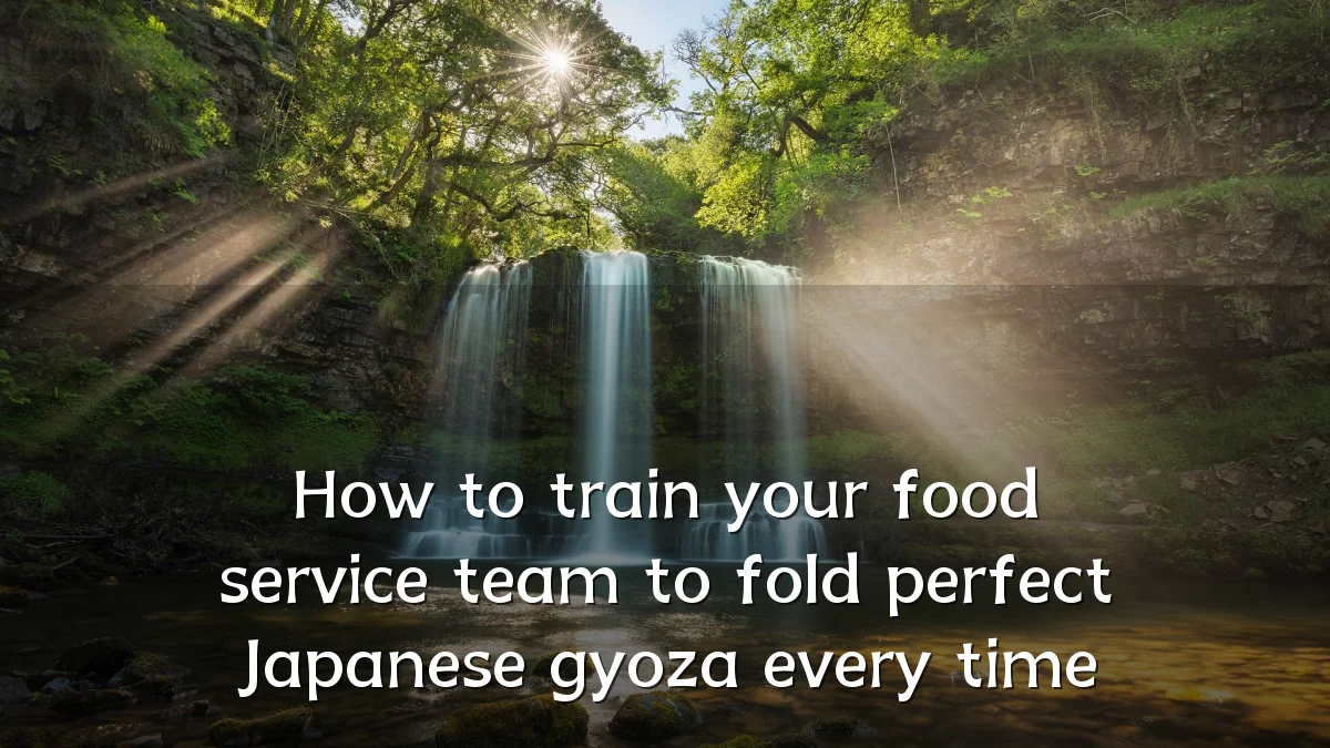 How to train your food service team to fold perfect Japanese gyoza every time
