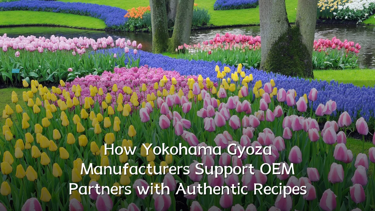 How Yokohama Gyoza Manufacturers Support OEM Partners with Authentic Recipes
