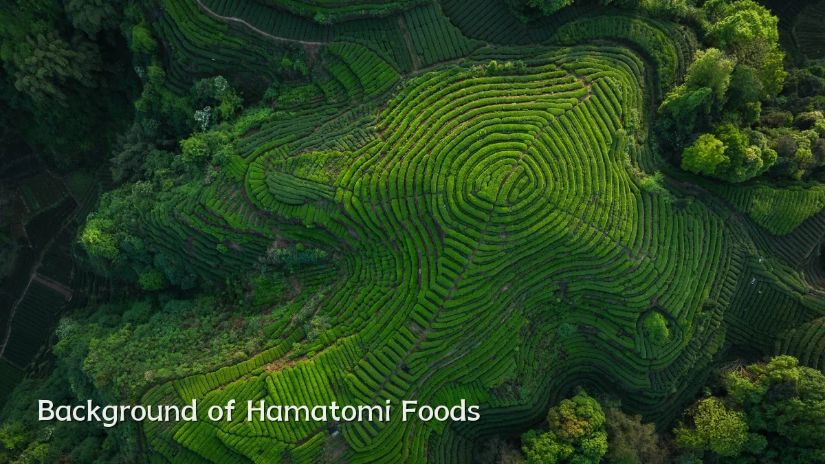Background of Hamatomi Foods