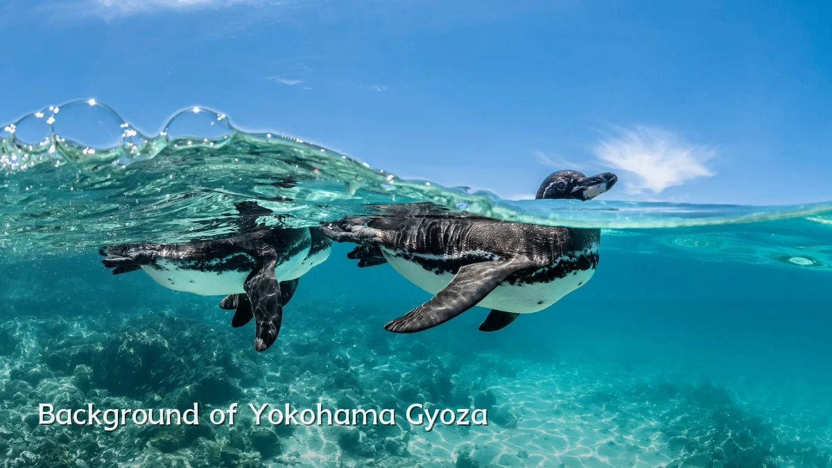 Background of Yokohama Gyoza