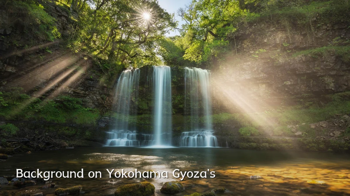 Background on Yokohama Gyoza's