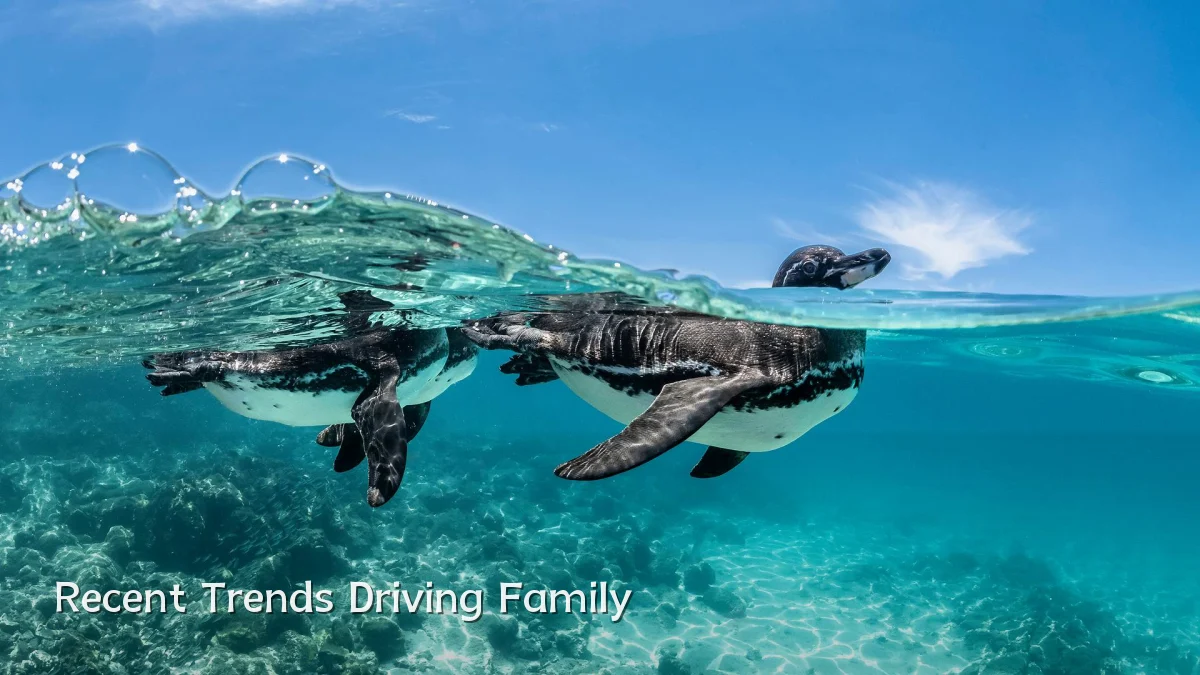 Recent Trends Driving Family