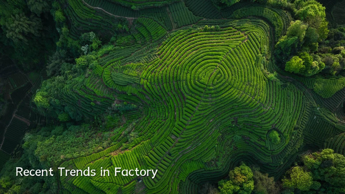 Recent Trends in Factory