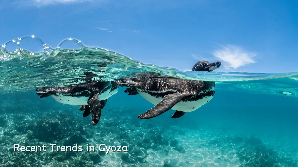 Recent Trends in Gyoza