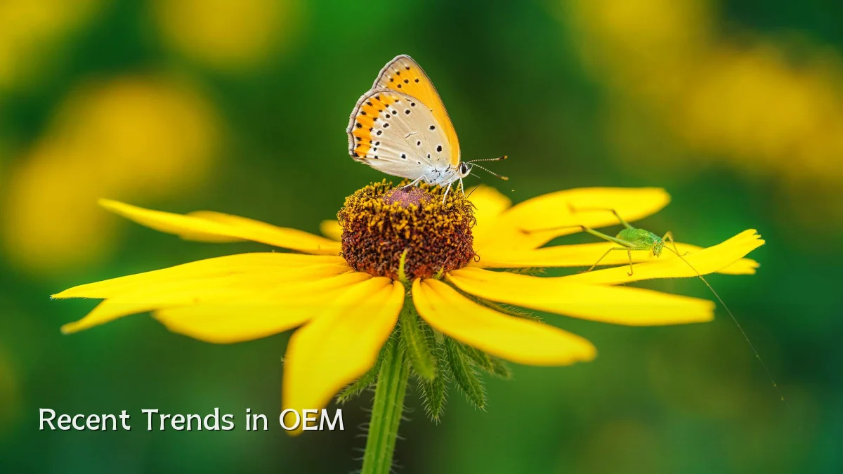 Recent Trends in OEM