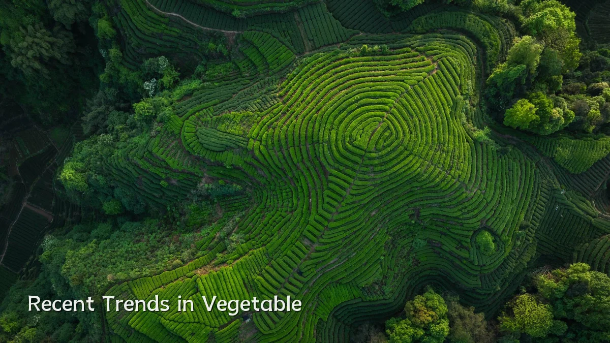 Recent Trends in Vegetable