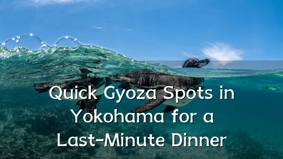Quick Gyoza Spots in Yokohama for a Last-Minute Dinner