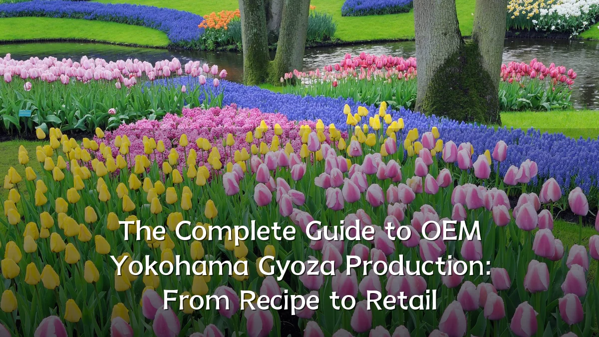 The Complete Guide to OEM Yokohama Gyoza Production: From Recipe to Retail