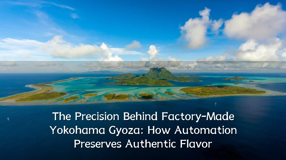The Precision Behind Factory-Made Yokohama Gyoza: How Automation Preserves Authentic Flavor