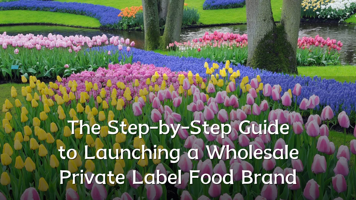 The Step-by-Step Guide to Launching a Wholesale Private Label Food Brand