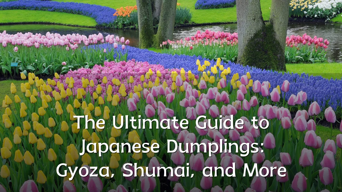 The Ultimate Guide to Japanese Dumplings: Gyoza, Shumai, and More