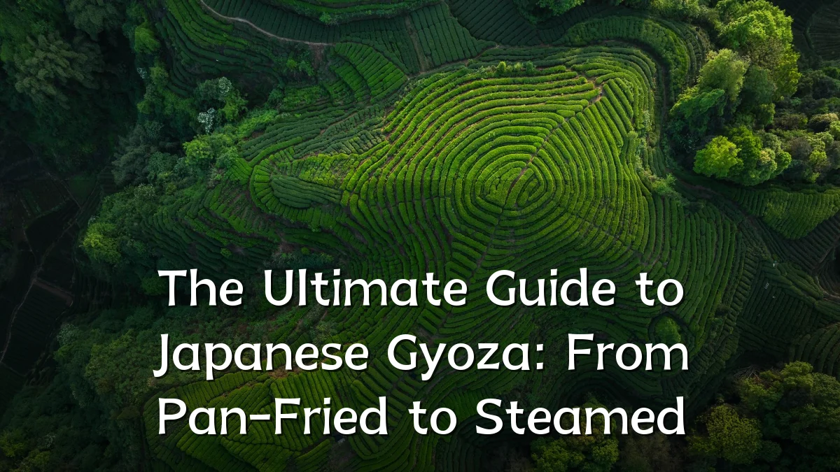 The Ultimate Guide to Japanese Gyoza: From Pan-Fried to Steamed