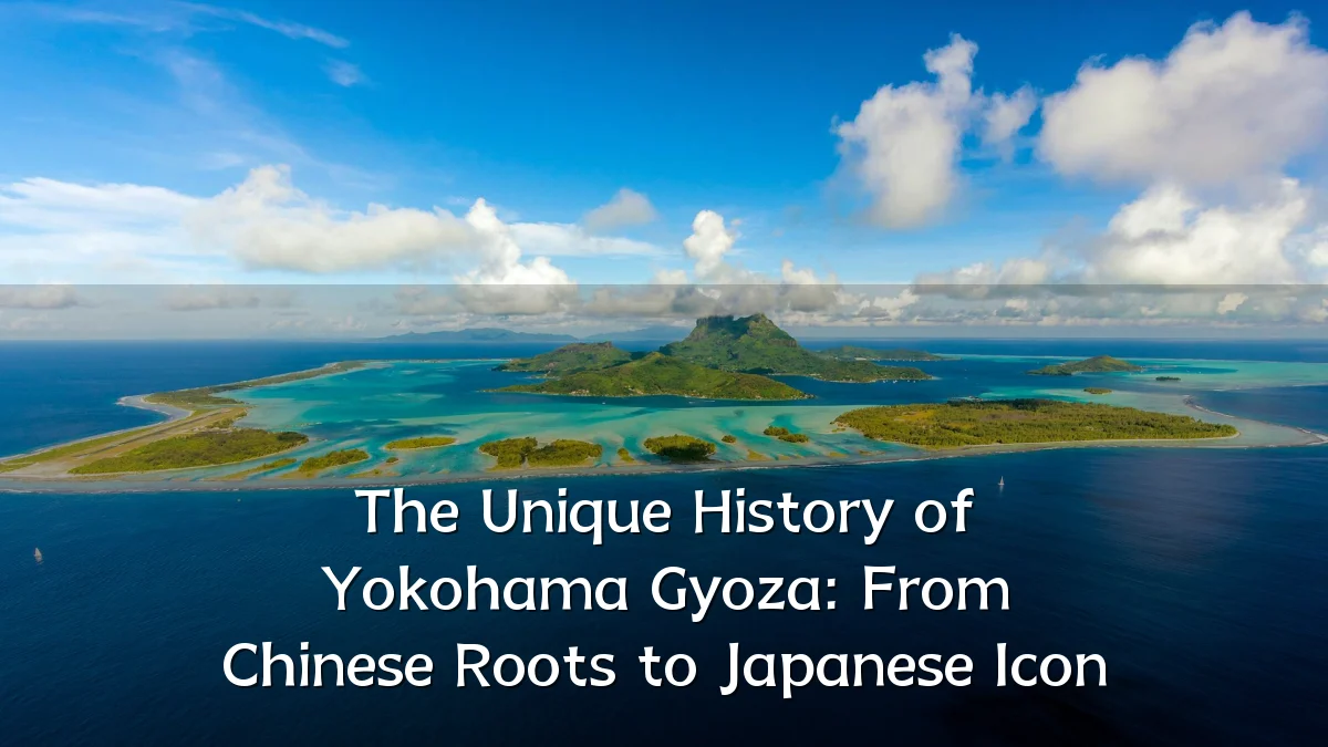 The Unique History of Yokohama Gyoza: From Chinese Roots to Japanese Icon
