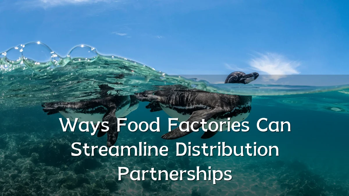 Ways Food Factories Can Streamline Distribution Partnerships