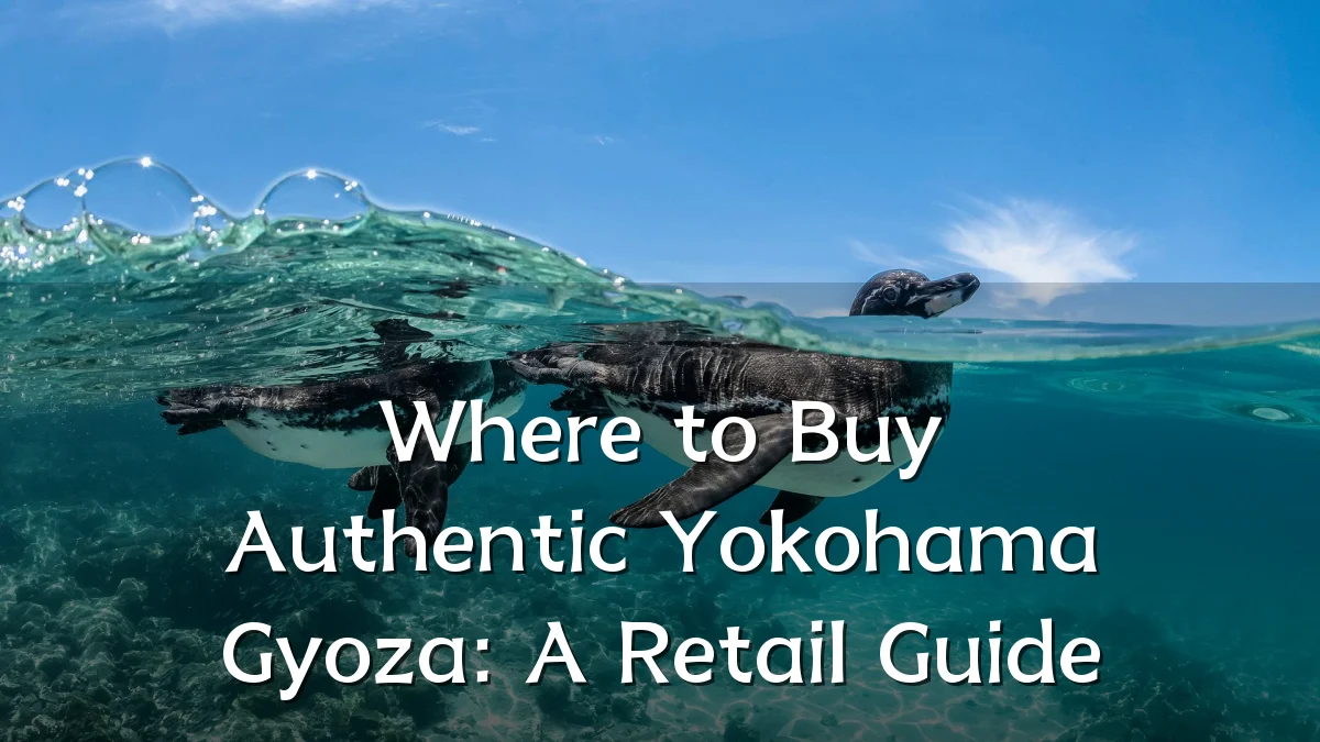 Where to Buy Authentic Yokohama Gyoza: A Retail Guide