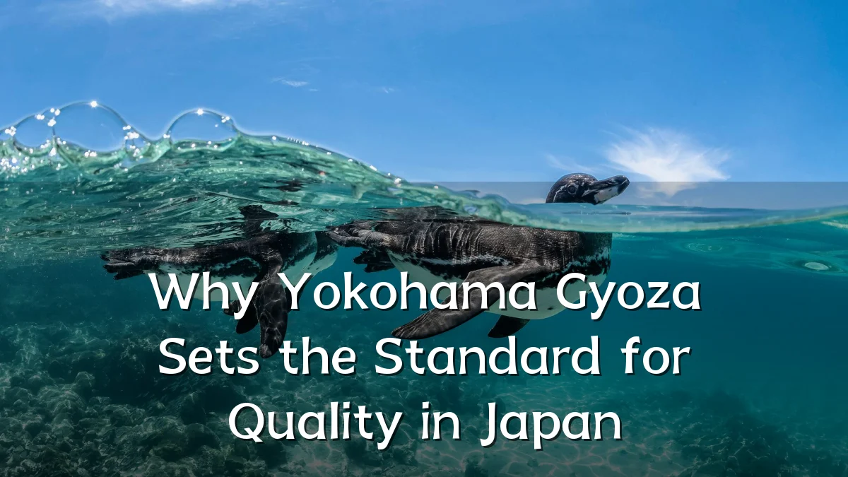 Why Yokohama Gyoza Sets the Standard for Quality in Japan