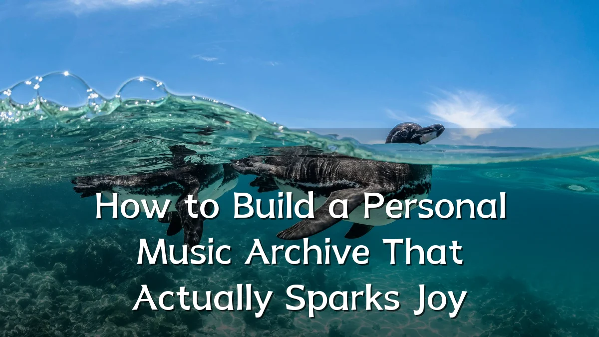 How to Build a Personal Music Archive That Actually Sparks Joy